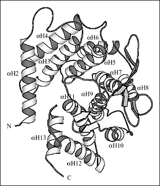 fig2