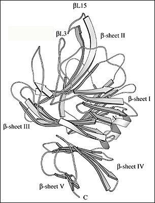 fig2