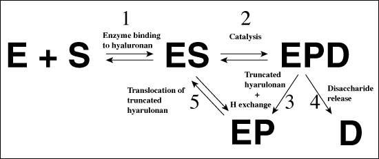 fig4