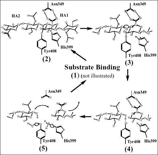 fig4