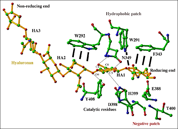 fig5