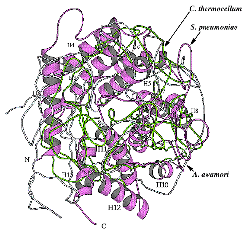 fig9