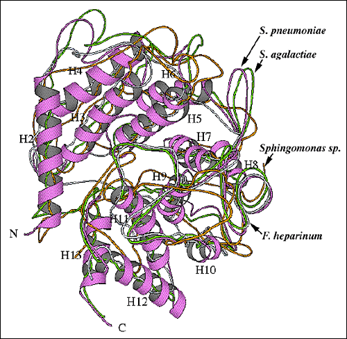 fig9