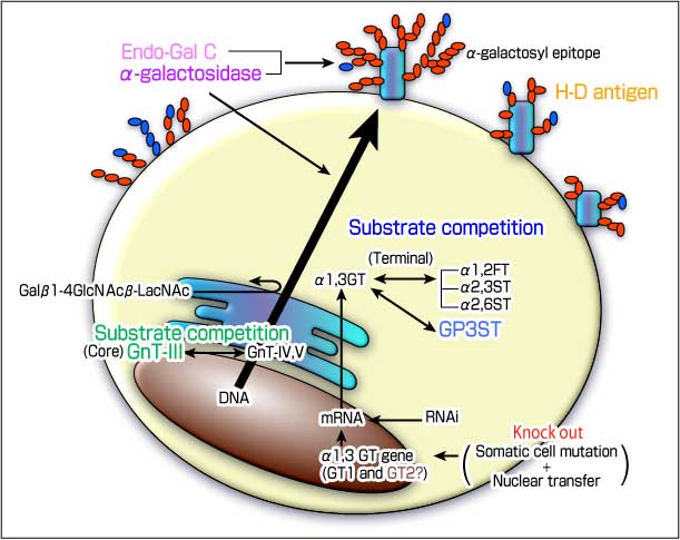 fig1