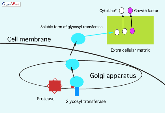 fig1