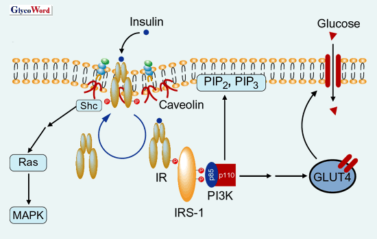 fig2