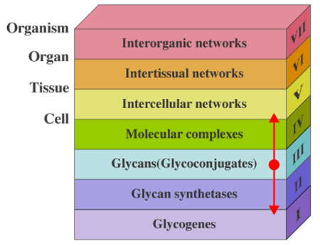 fig1