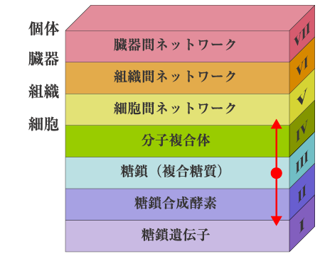 fig1