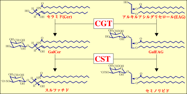 fig2