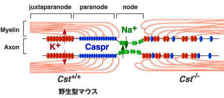 fig3