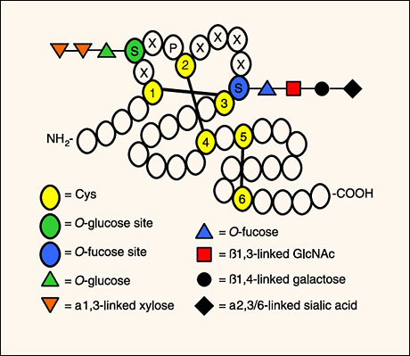 fig2