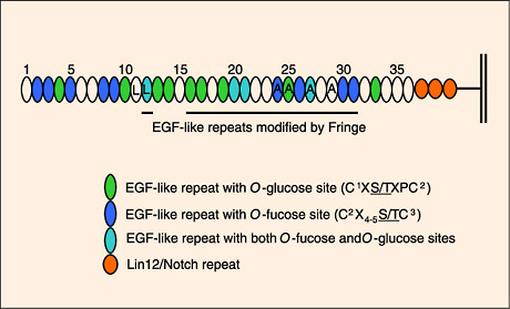 fig3