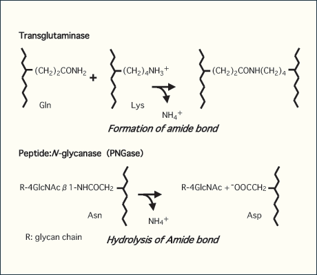 fig1