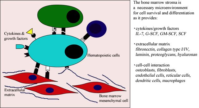 fig1