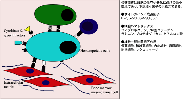 fig1