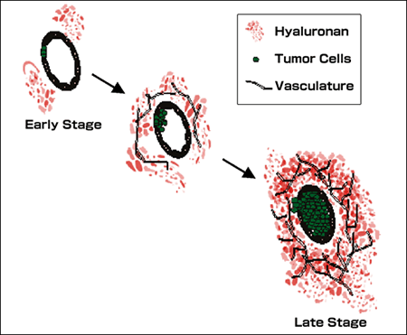 fig7