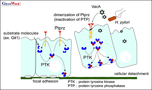 fig2