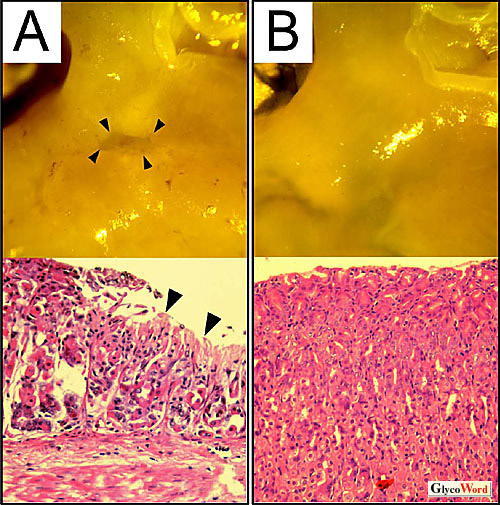 fig1