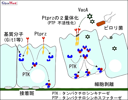 fig2