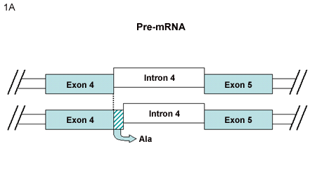 fig1