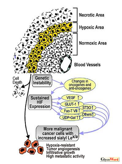 fig1