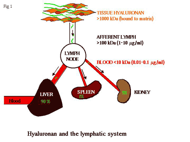 fig1