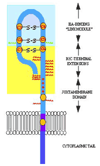 fig2