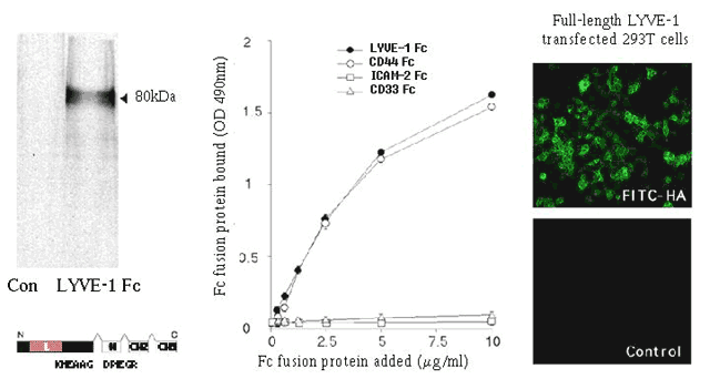 fig34