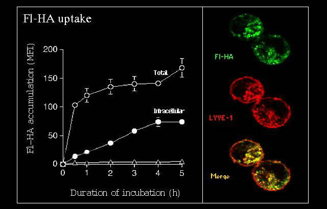 fig6