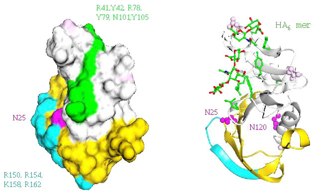 fig8