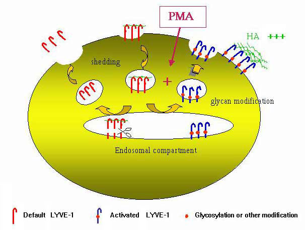 fig10