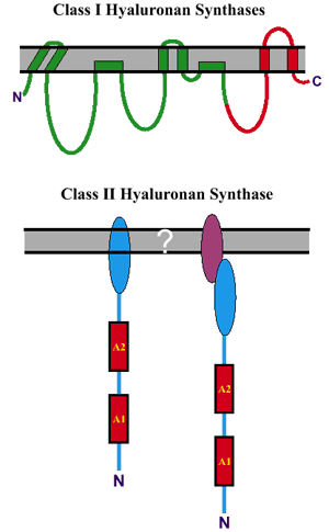 図1