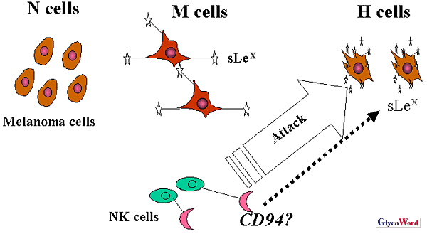 fig1