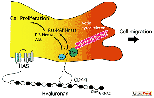 fig1