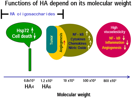 fig1