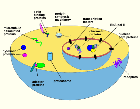 fig1