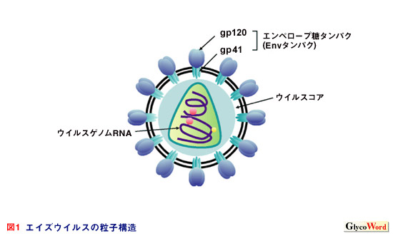 fig1