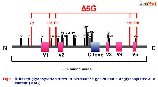 fig2