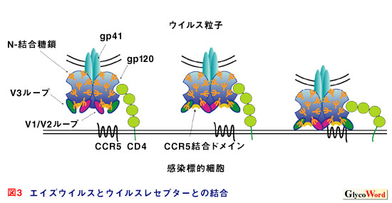 fig3