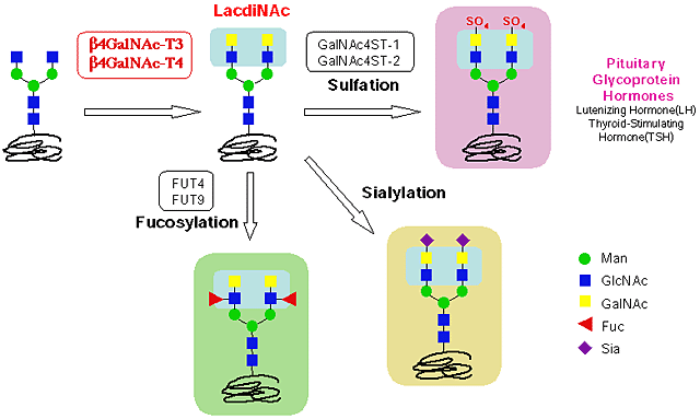 fig3