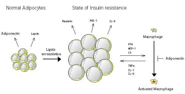 fig2