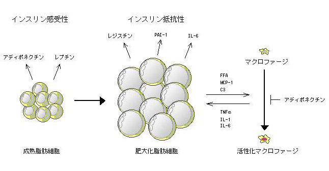 fig2