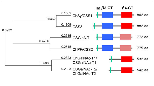 fig1