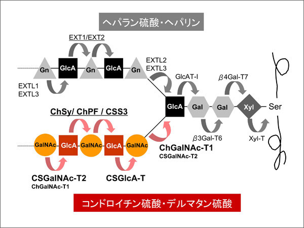 fig2