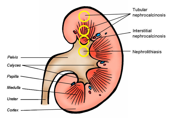 fig01