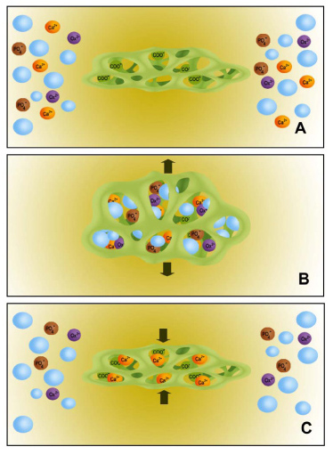 fig03