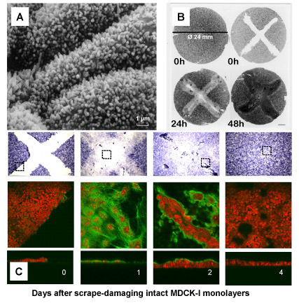 fig05