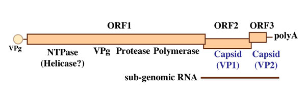 fig3