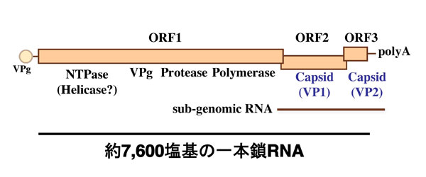 fig3