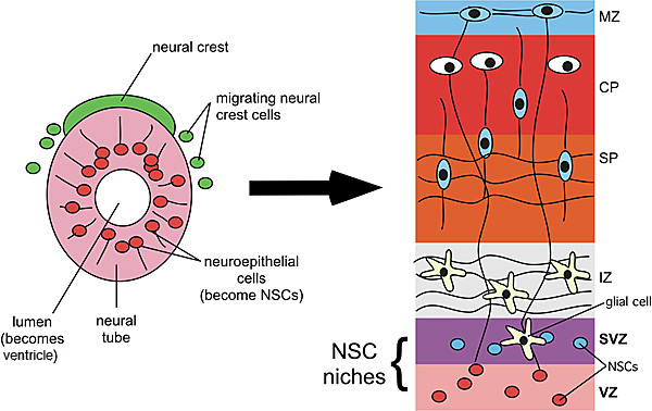 Figure1